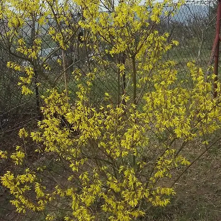 Apartment Malina - And Liptovsky Mikulas